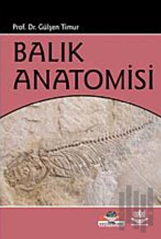 Balık Anatomisi