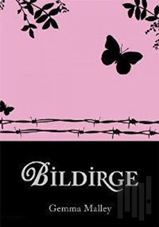 Bildirge