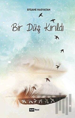 Bir Düş Kırıldı