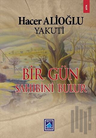 Bir Gün Sahibini Bulur