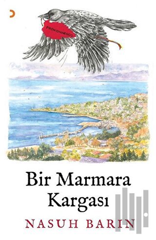 Bir Marmara Kargası