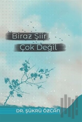 Biraz Şiir Çok Değil