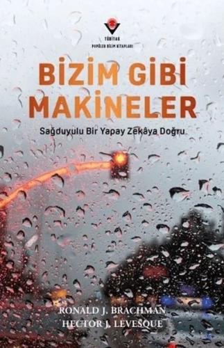 Bizim Gibi Makineler - Sağduyulu Bir Yapay Zekaya Doğru
