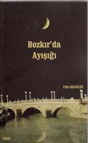 Bozkır'da Ayışığı