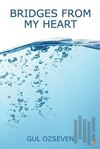 Bridges From My Heart