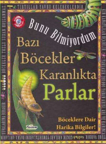 Bunu Bilmiyordum Bazı Böcekler Karanlıkta Parlar Böcekler Hakkıda Harika Bilgiler