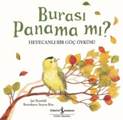 Burası Panama mı?-Heyecanlı Bir Göç Öyküsü