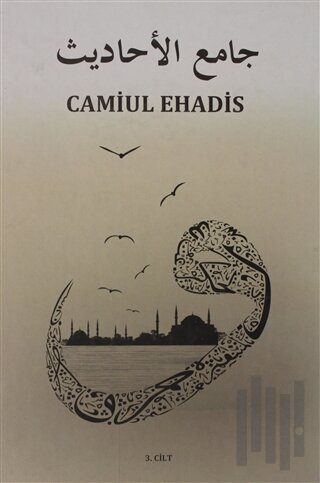 Camiul Ehadis Tercümesi  3.Cilt (Ciltli)