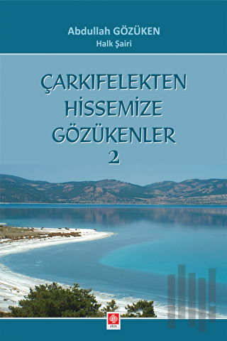 Çarkıfelekten Hissemize Gözükenler 2