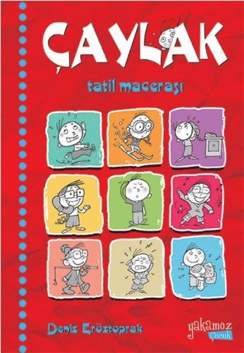 Çaylak-Tatil Macerası | Kitap Ambarı