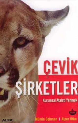 Çevik Şirketler | Kitap Ambarı