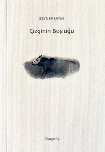 Çizginin Boşluğu | Kitap Ambarı