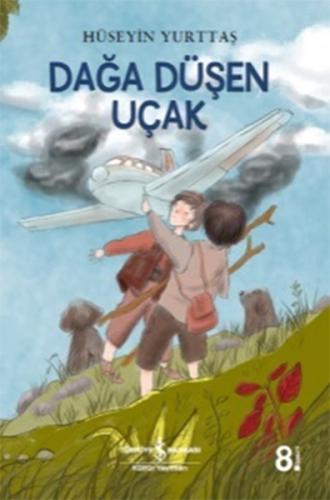 Dağa Düşen Uçak | Kitap Ambarı