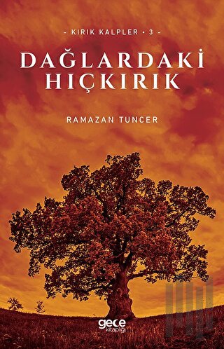 Dağlardaki Hıçkırık - Kırık Kalpler 3