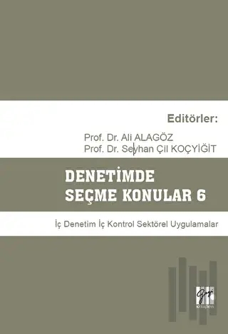 Denetimde Seçme Konular 6 | Kitap Ambarı