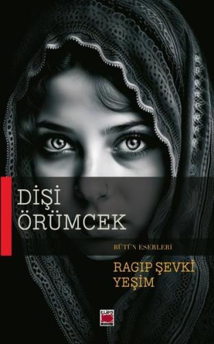 Dişi Örümcek