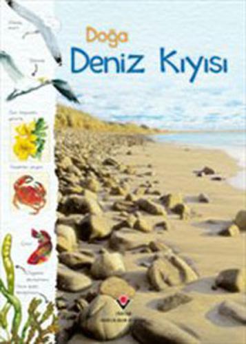 Doğa: Deniz Kıyısı | Kitap Ambarı