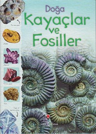 Doğa: Kayaçlar ve Fosiller