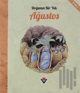 Doğanın Bir Yılı - Ağustos