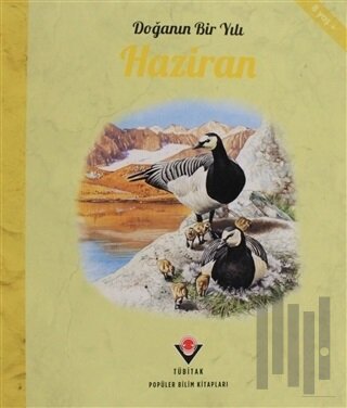 Doğanın Bir Yılı - Haziran | Kitap Ambarı