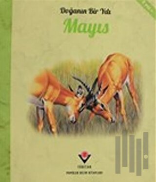 Doğanın Bir Yılı - Mayıs | Kitap Ambarı