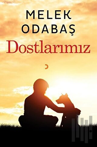 Dostlarımız