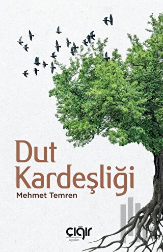 Dut Kardeşliği