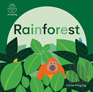 Eco Baby: Rainforest (Ciltli)