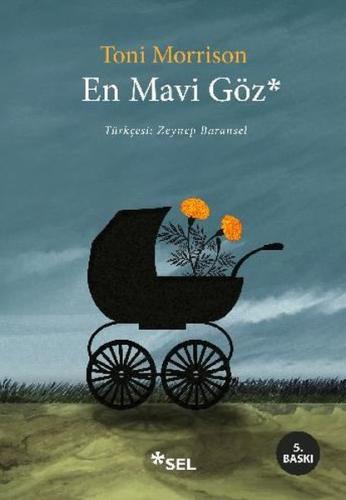 En Mavi Göz | Kitap Ambarı