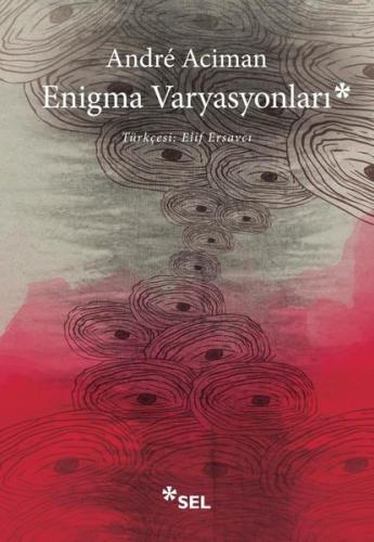 Enigma Varyasyonları | Kitap Ambarı