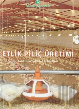 Etlik Piliç Üretimi