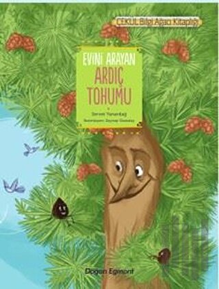 Evini Arayan Ardıç Tohumu (Okul İçin)