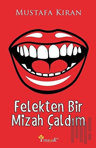Felekten Bir Mizah Çaldım | Kitap Ambarı