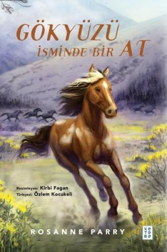Gökyüzü İsminde Bir At | Kitap Ambarı