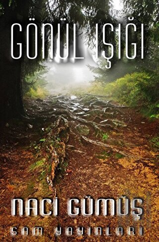 Gönül Işığı | Kitap Ambarı