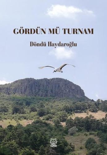 Gördün mü Turnam