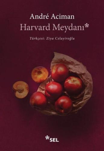 Harvard Meydanı | Kitap Ambarı