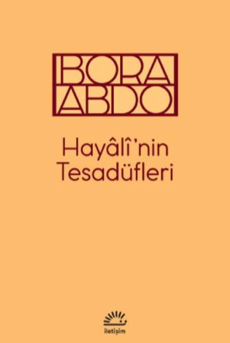 Hayali'nin Tesadüfleri | Kitap Ambarı