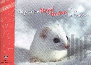 Hayvanlar Nasıl ve Neden Kışa Hazırlanır