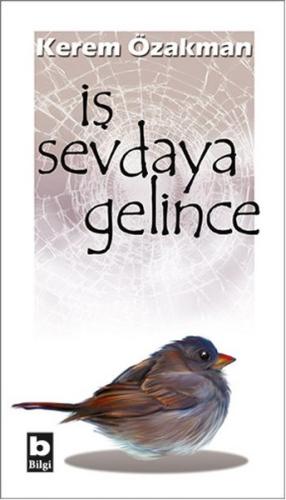 İş Sevdaya Gelince | Kitap Ambarı