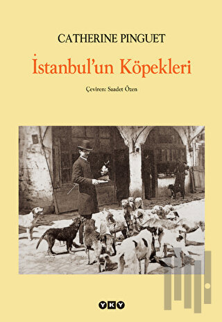 İstanbul’un Köpekleri