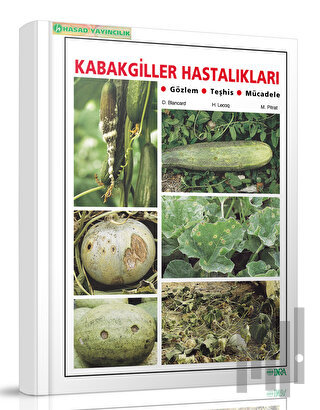 Kabakgiller Hastalıkları