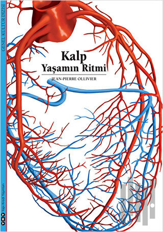 Kalp Yaşamın Ritmi