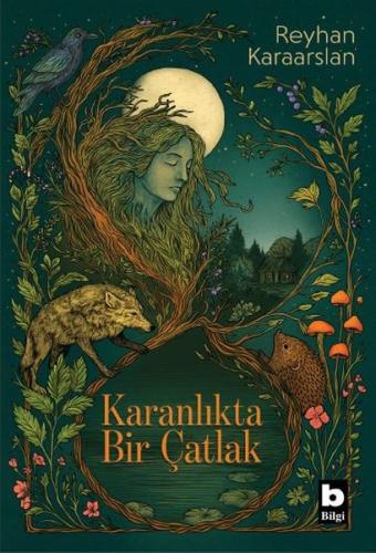 Karanlıkta Bir Çatlak | Kitap Ambarı