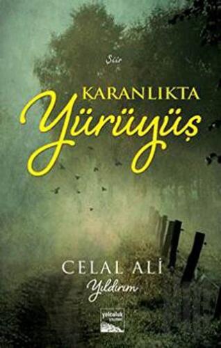 Karanlıkta Yürüyüş