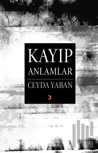 Kayıp Anlamlar