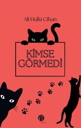 Kimse Görmedi | Kitap Ambarı
