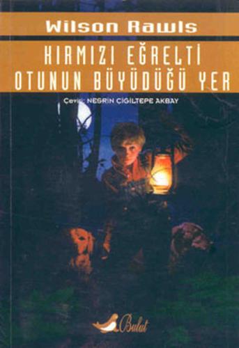 Kırmızı Eğrelti Otunun Büyüdüğü Yer | Kitap Ambarı