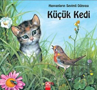 Küçük Kedi
