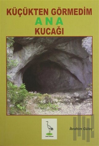 Küçükten Görmedim Ana Kucağı | Kitap Ambarı